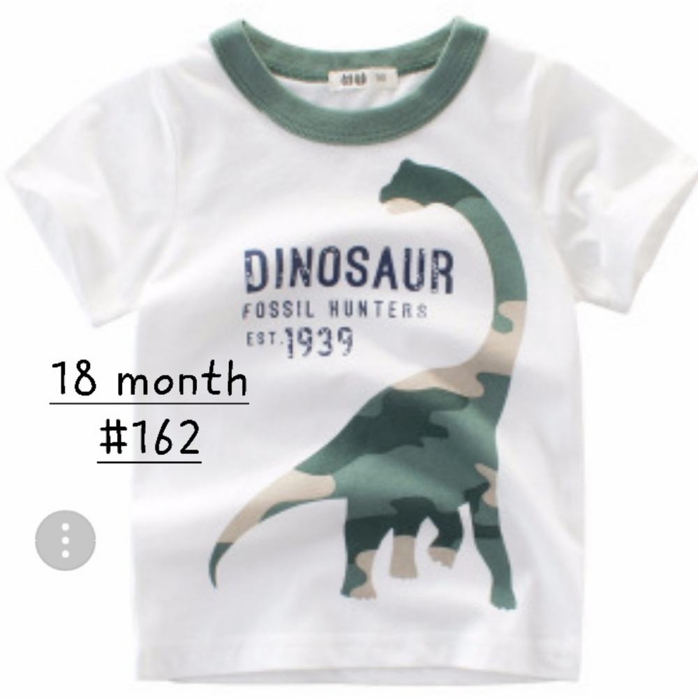 Dinosaur Fossil Hunters Kids T-Shirt - White & Green